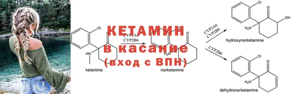 СК Елабуга